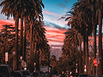 Los Angeles Street